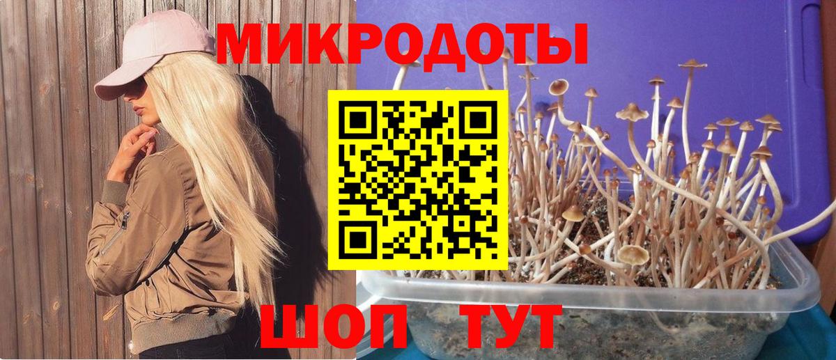 Марихуана Нерюнгри